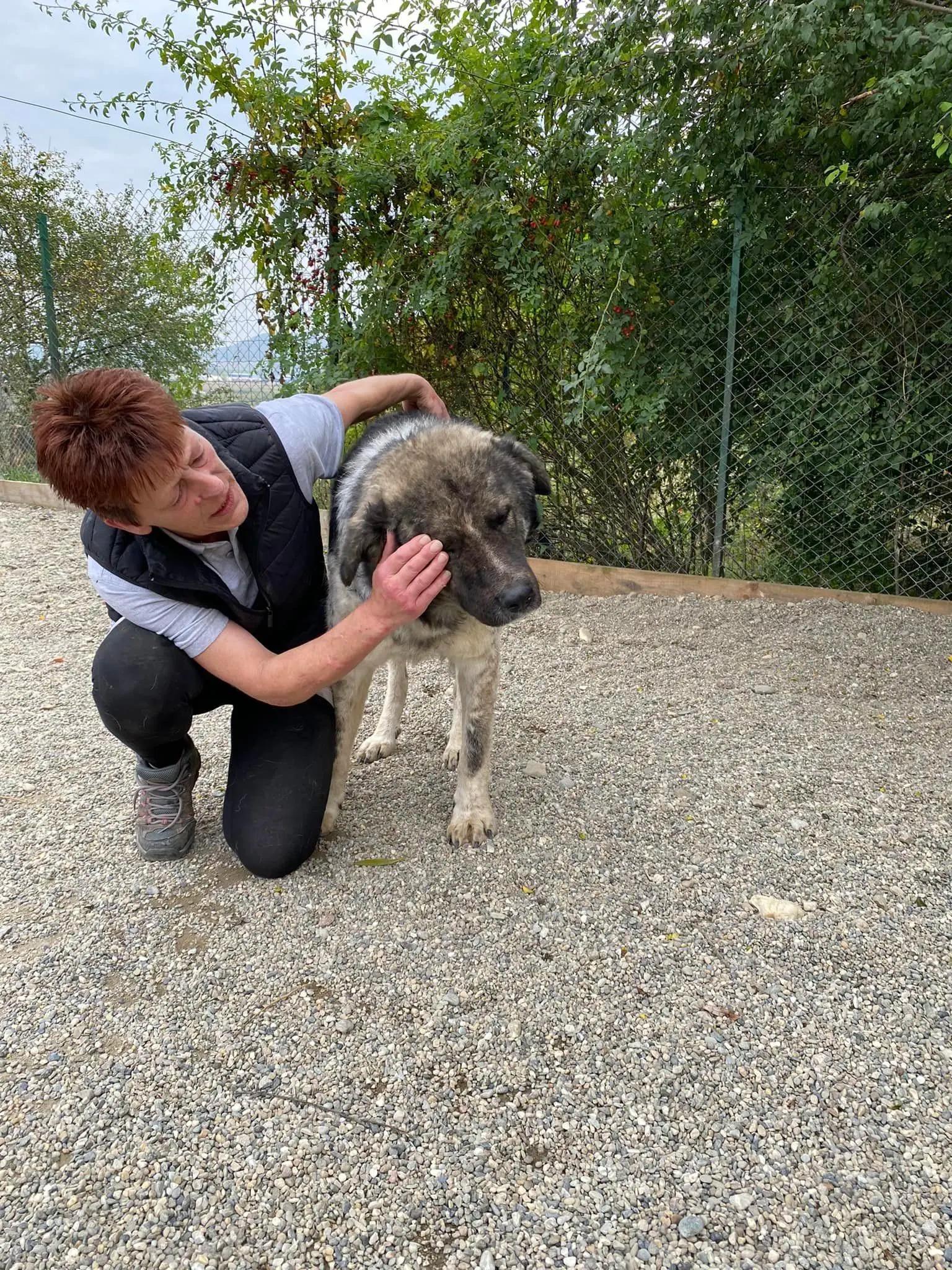 woman petting keanu