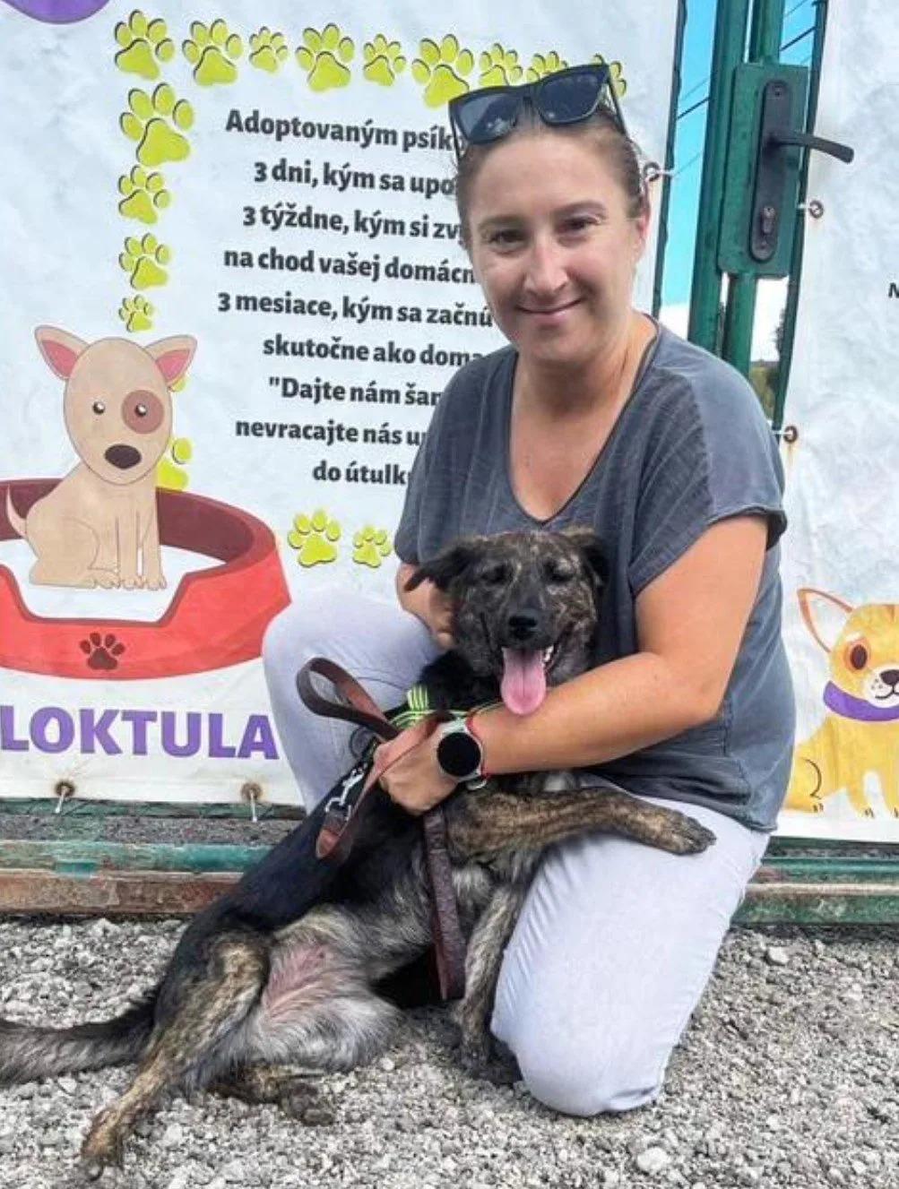 adopted dog with woman