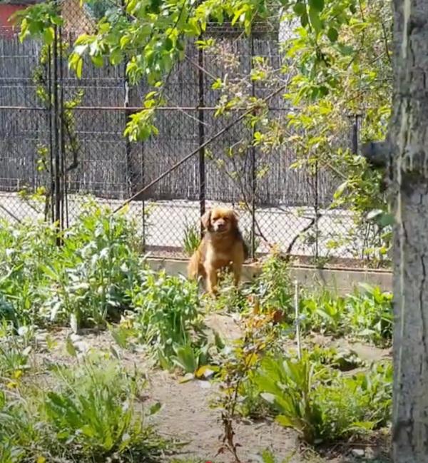 amber fleeing from rescuers