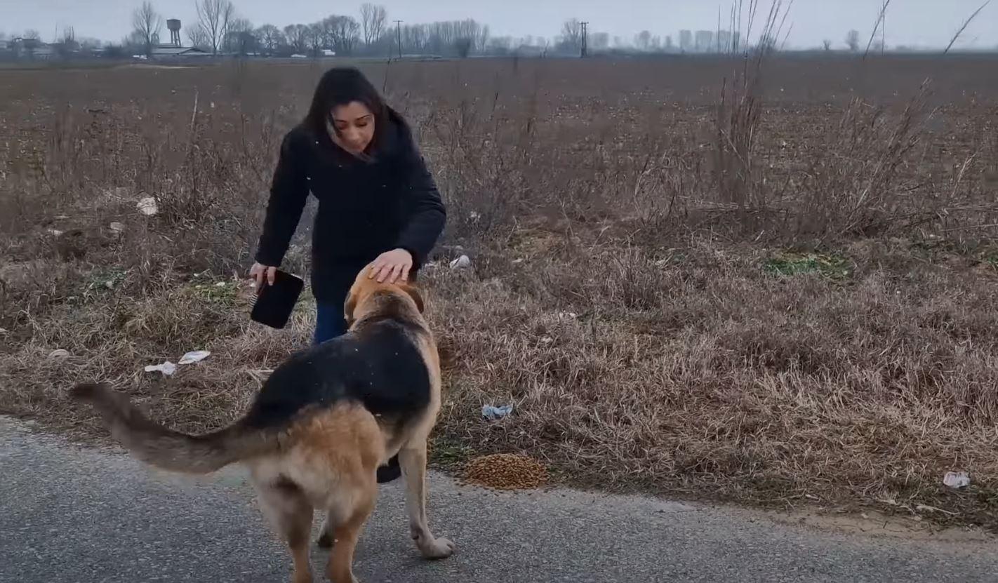 dog and woman outside