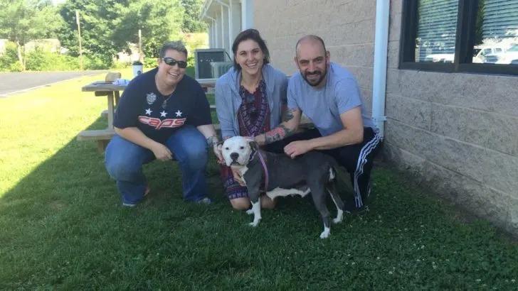 dog with three people