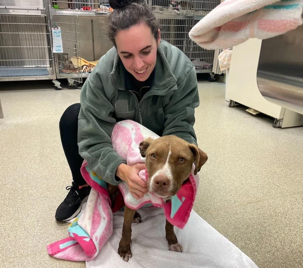 rescued dog with blanket