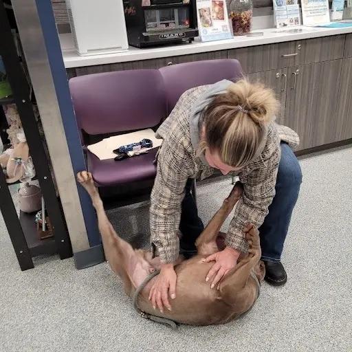 woman playing with dog