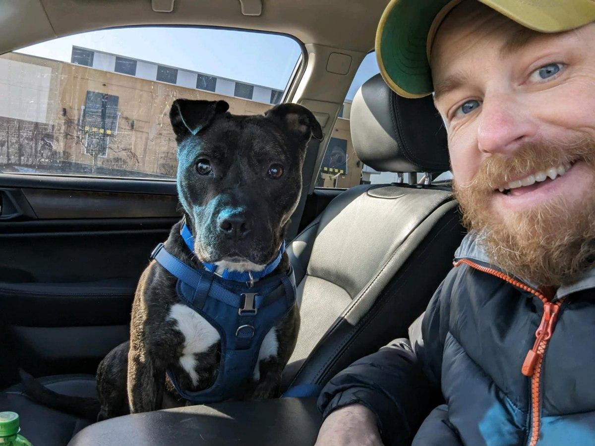 brutus with his new dad in the car