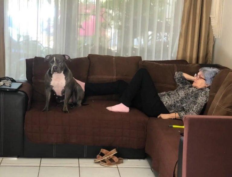 dog and granny on couch