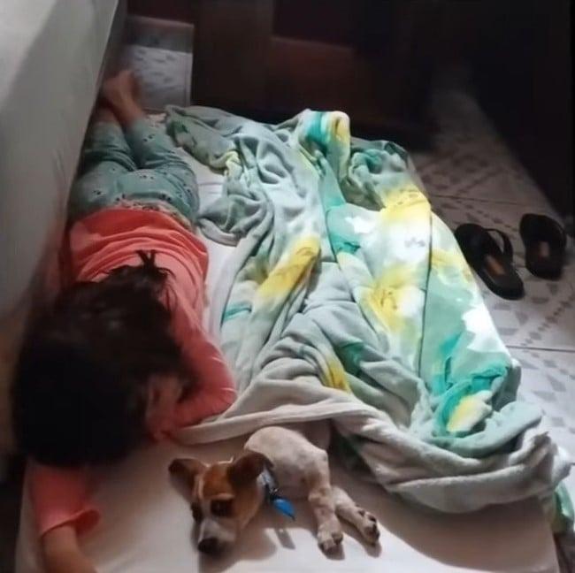 dog sleeping with girl