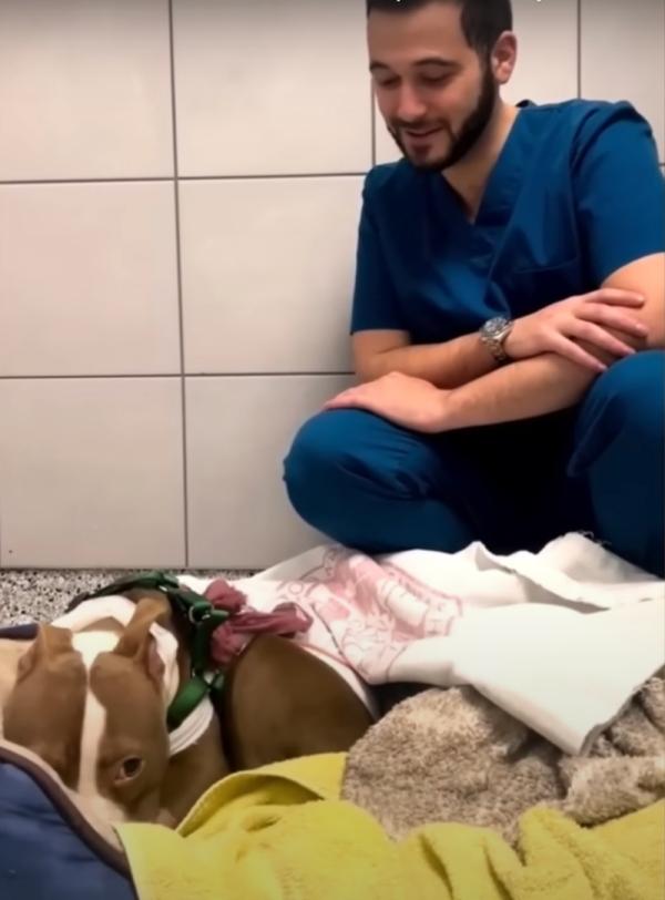 mika with her vet