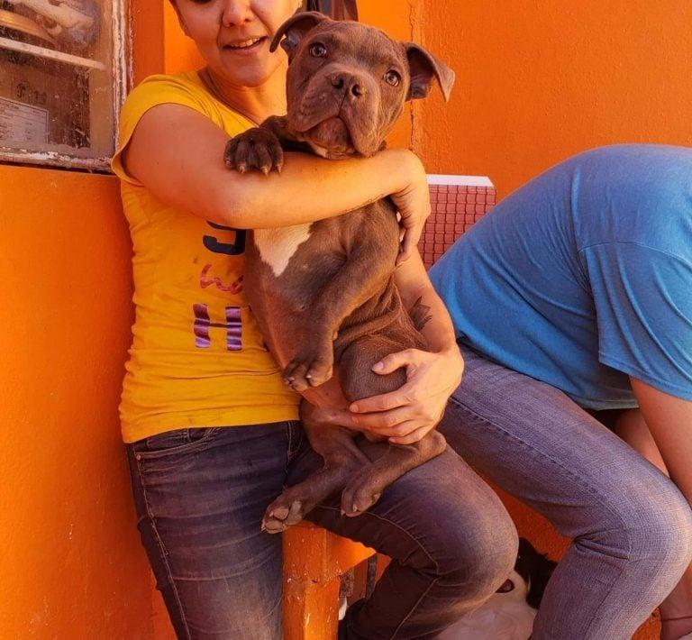 woman holding dog