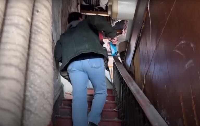 Mama Dog And Her Puppies Were Left Freezing In An Abandoned House Until ...