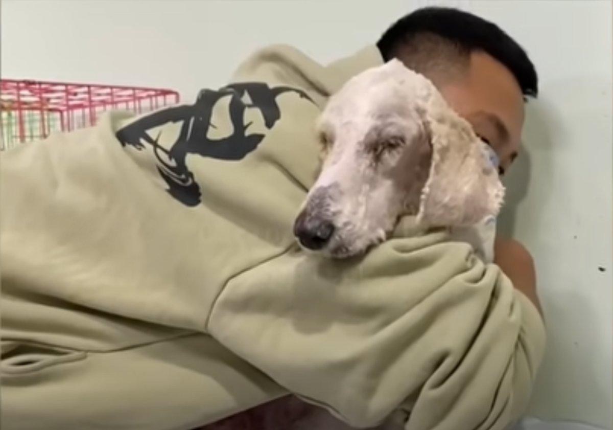 hugging after surgery hugging after surgery