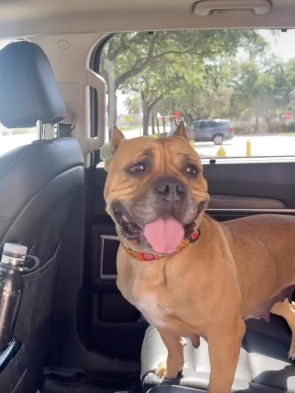 kelly in a car after adoption kelly in a car after adoption