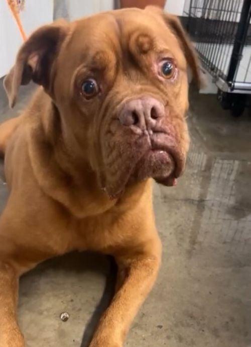 sad rooney after he was abandonned