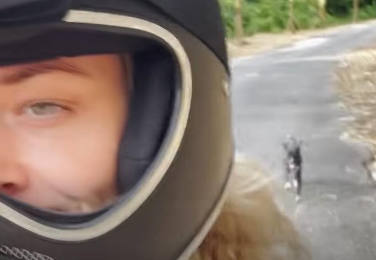 stray dog chasing a woman on a moto stray dog chasing a woman on a moto