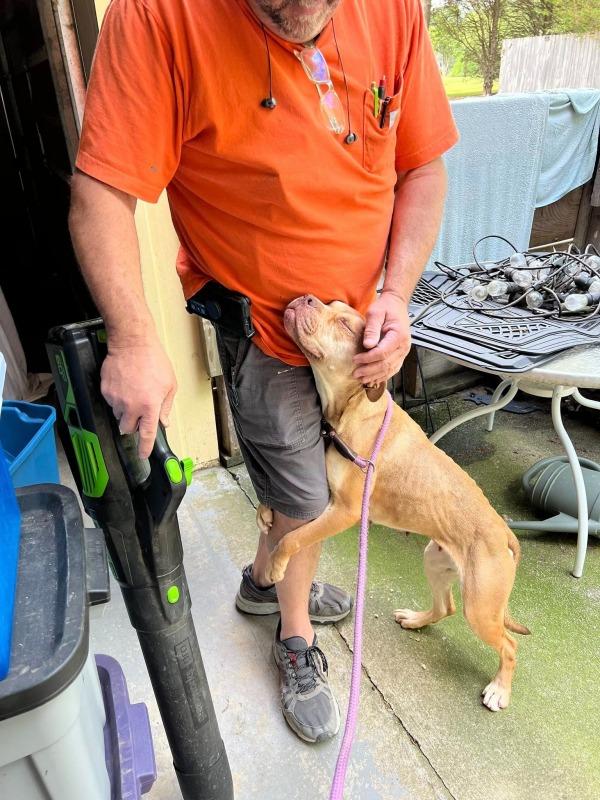 dawn cuddles with his foster dad dawn cuddles with his foster dad