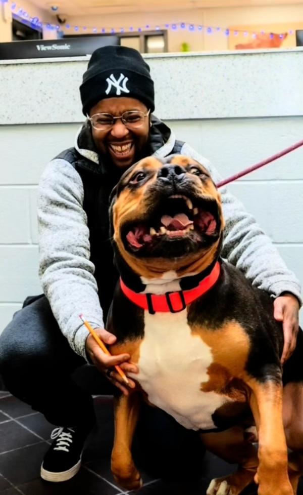 dog and his dad happy together dog and his dad happy together