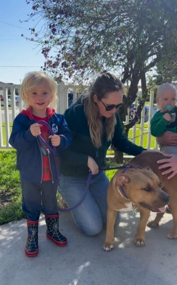family adopting the pittie