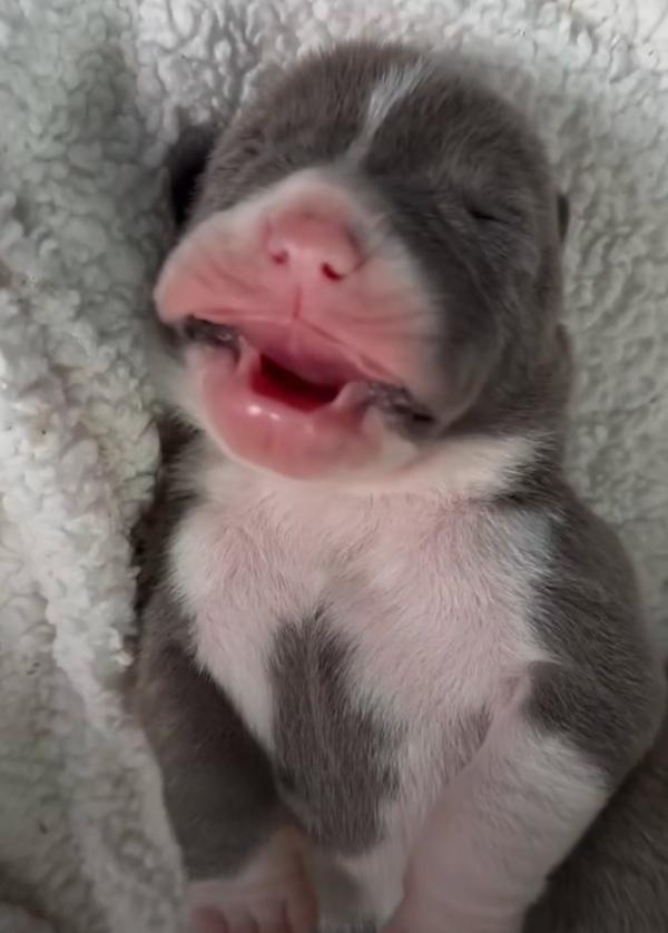 one of the newborns