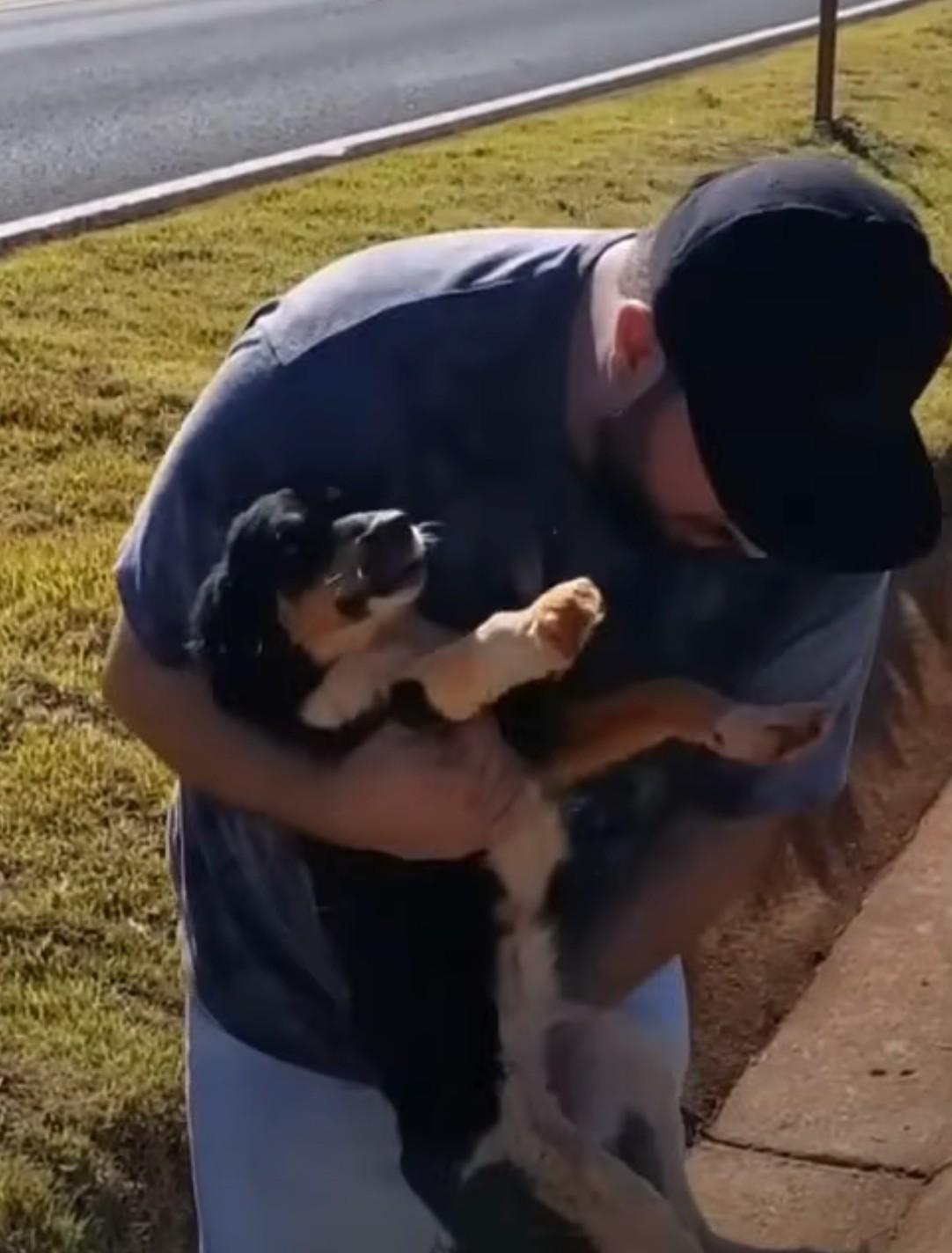 rescuing the dog from the ravine
