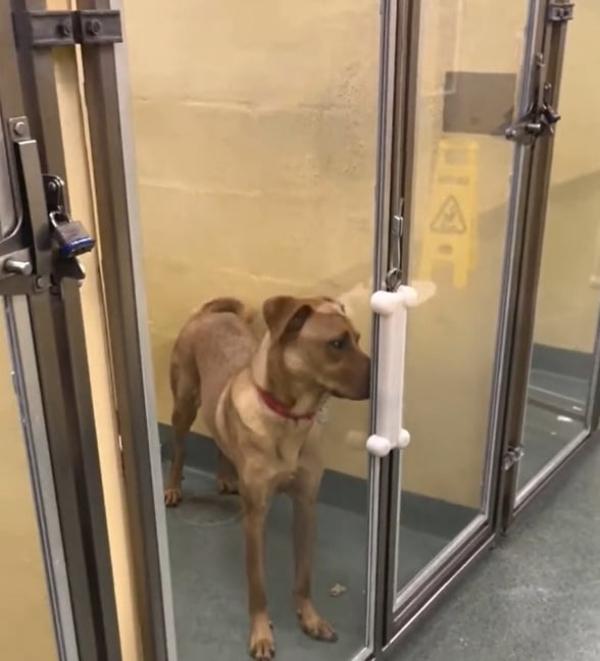 zion after being surrendered for the third time