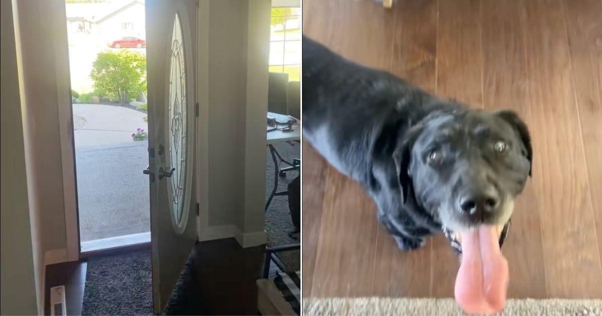 Woman Hears Strange Noise And Finds An Unexpected Guest In Her Living Room