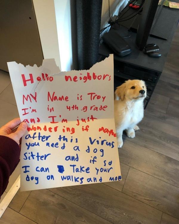 letter from troy to arthur the golden retriever