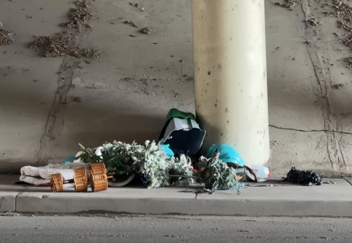 spotting a tiny dog in the middle of trash