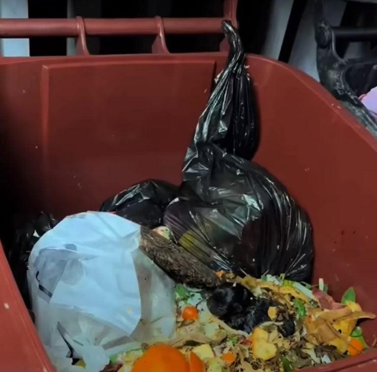trash can with pup left inside