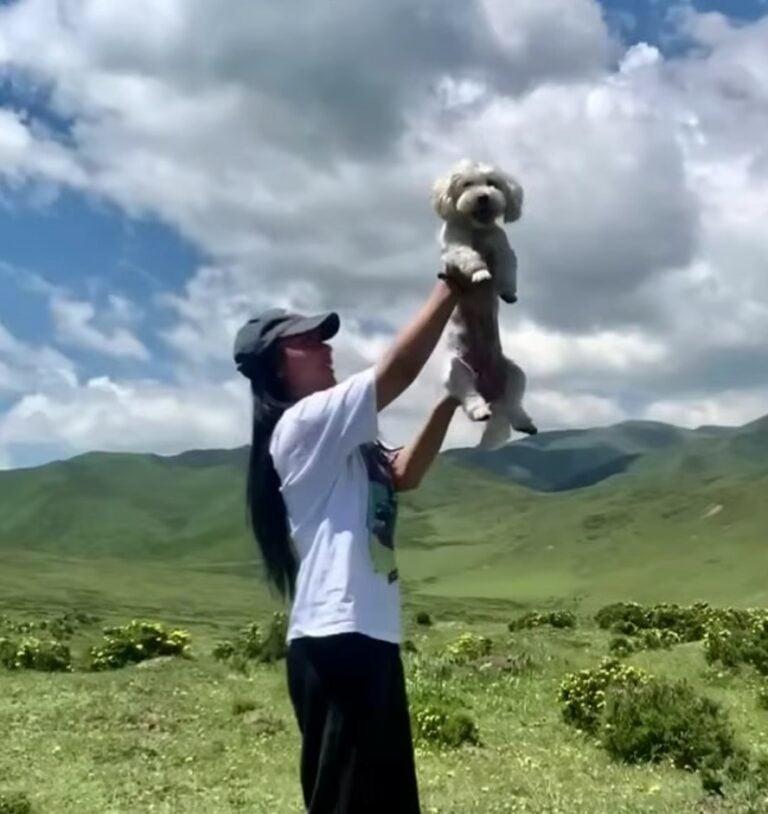 woman holding a white dog in nature