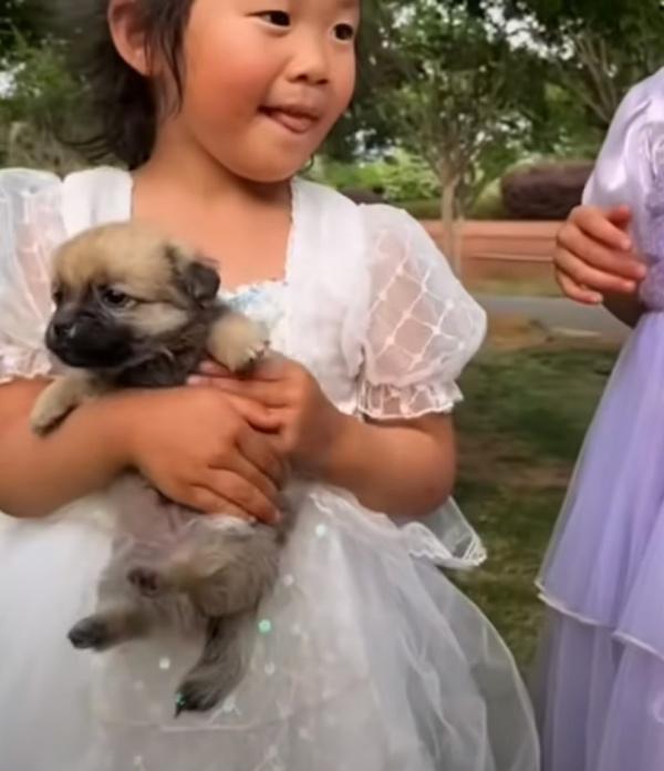 little girl wearing a white princess dress holds a small dog