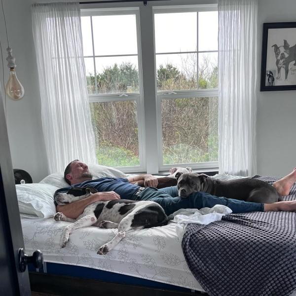 man lying on bed with dogs