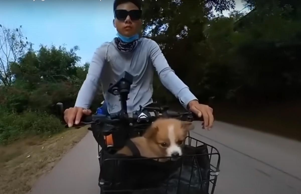 biking with the rescue dog