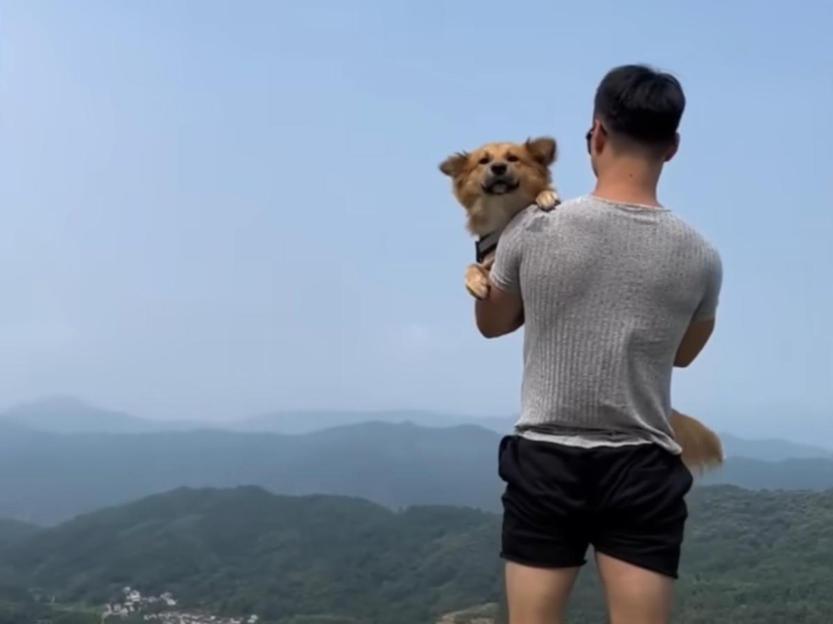 little yellow on a trip with his dad