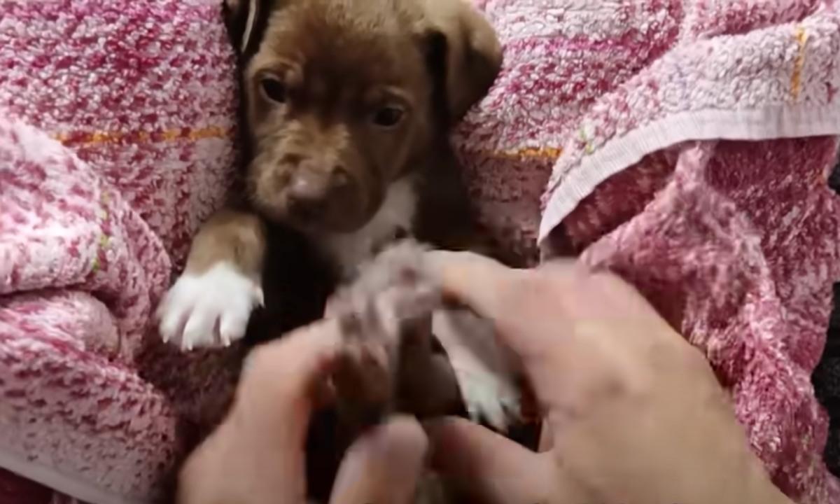 cuddling the pup after shower